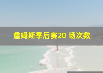 詹姆斯季后赛20 场次数